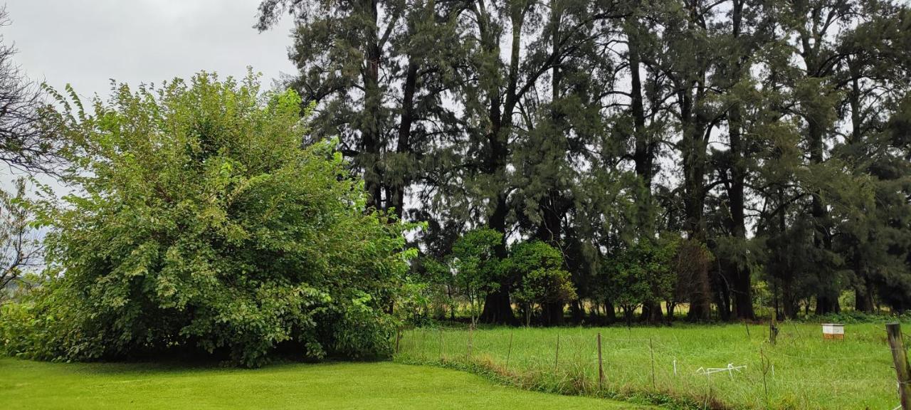 Cherbury Winterton Luaran gambar